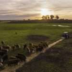 DJI_0198