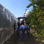 EAF 21 3